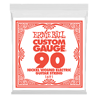 ERNIE BALL P01691