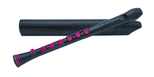 NUVO Recorder+ Black/Pink with hard case