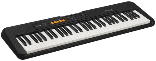 CASIO CT-S100C2, без адаптера фото 2